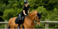 My Cheval
